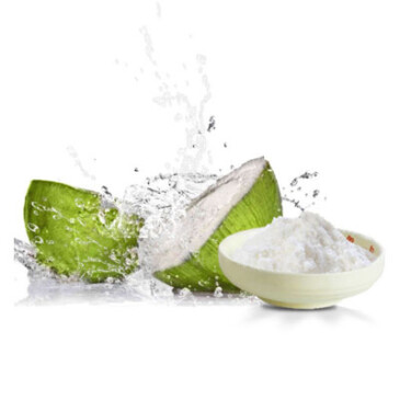Spray Dried Coconut Powder