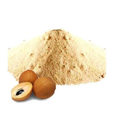 Spray Dried Chiku Powder
